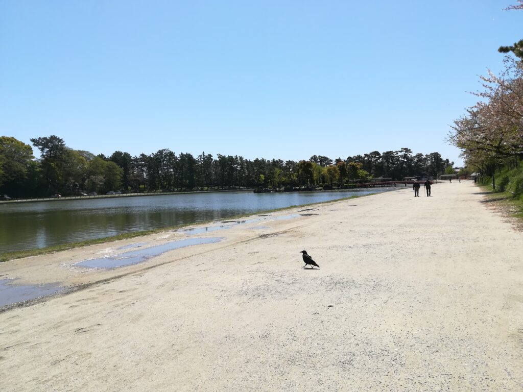 天王川公園